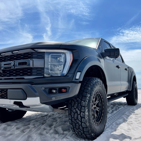 beach raptor