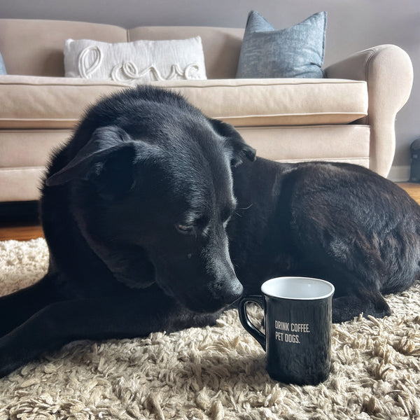 coffee dog