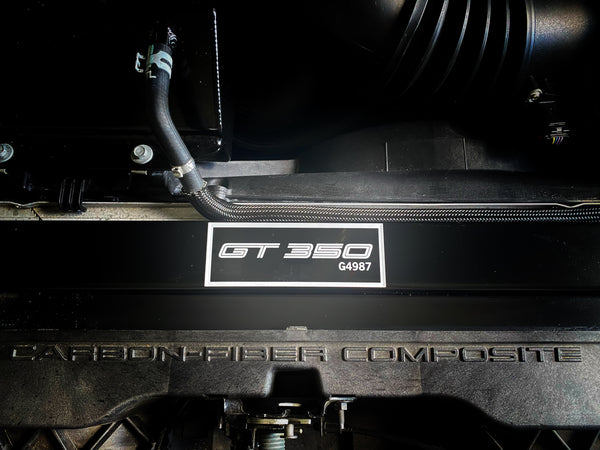 Personalized Mustang Radiator Plates